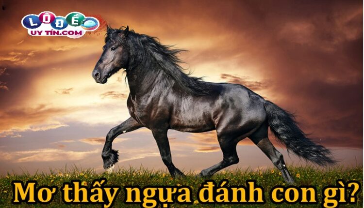 Điềm báo mơ thấy ngựa có ý nghĩa gì? Lý giải chính xác nhất 2 Điềm báo mơ thấy ngựa có ý nghĩa gì? Lý giải chính xác nhất