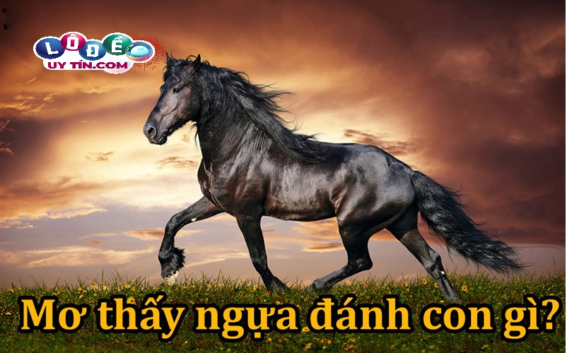 Điềm báo mơ thấy ngựa có ý nghĩa gì? Lý giải chính xác nhất