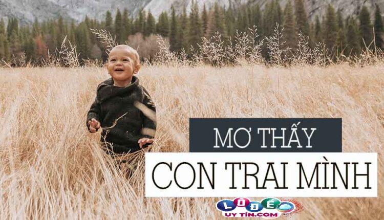 Nằm mơ thấy con trai mình đánh con gì, điềm lành hay dữ? 2 Nằm mơ thấy con trai mình đánh con gì, điềm lành hay dữ