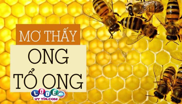Điềm báo mơ thấy tổ ong bật mí điều gì? Đánh số gì bất bại