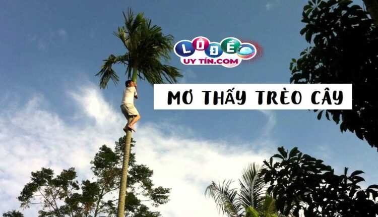 Giải mã giấc mơ trèo cây đầy đủ, chi tiết