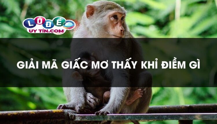 Nằm mơ thấy khỉ có ý nghĩa gì, đánh số mấy dễ trúng? 2 Nằm mơ thấy khỉ có ý nghĩa gì, đánh số mấy dễ trúng
