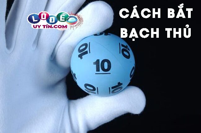 Tổng hợp số bạch thủ lô vip chính xác từ các chuyên gia 3 Tổng hợp số bạch thủ lô vip chính xác từ các chuyên gia từ nhà cái uy tín