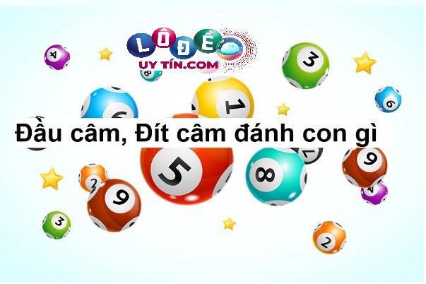 Bật mí những cách tính lô đề miền bắc chuẩn nhất 1