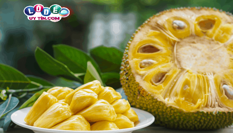 Chiêm bao mơ thấy quả mít có ý nghĩa gì? Đánh số gì rực rỡ? 3 Chiêm bao mơ thấy quả mít có ý nghĩa gì 2