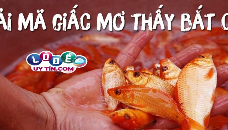 Giải mã mơ bắt được cá đánh con gì, là điềm gì? 3 Giải mã mơ bắt được cá đánh con gì, là điềm gì 2