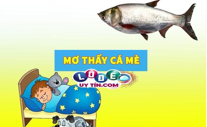 Mơ thấy cá mè đánh số mấy dễ trúng nhất, có ý nghĩa gì? 3 Mơ thấy cá mè đánh số mấy dễ trúng nhất, có ý nghĩa gì 1