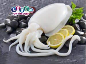Chiêm bao mơ thấy con mực - Nằm mơ thấy mực đánh số đề gì?