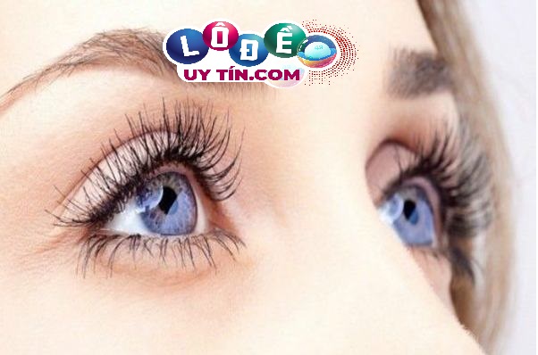 Chiêm bao mơ thấy mắt đánh con gì trúng lớn? Ý nghĩa là gì? 3 Chiêm bao mơ thấy mắt đánh con gì trúng lớn 1