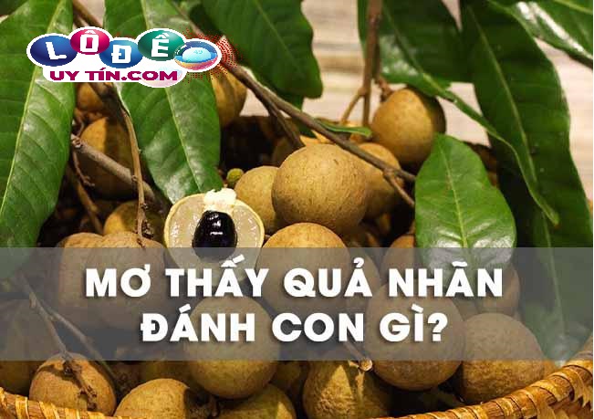 Ngủ mơ thấy quả nhãn báo hiệu điều gì? Đánh con gì chuẩn? 2 Ngủ mơ thấy quả nhãn báo hiệu điều gì? Đánh con gì chuẩn