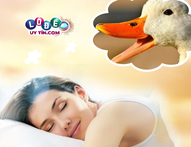 Mơ thấy vịt đánh con gì, số nào dễ trúng nhất 2