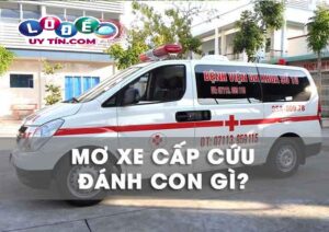 Mơ thấy xe cấp cứu đánh con gì, là điềm báo gì?