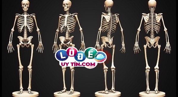 Chiêm bao mơ thấy xương người đánh số gì hợp phong thủy? 2 Chiêm bao mơ thấy xương người đánh số gì hợp phong thủy