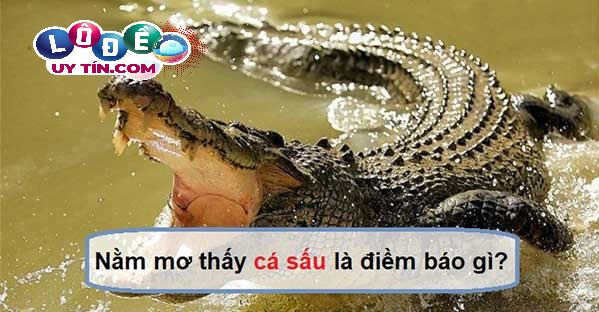 Mơ thấy cá sấu báo điềm nguy hiểm? Đánh con gì