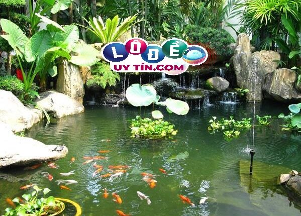 Giải mã nằm mơ thấy hồ cá là tốt hay xấu? Nên đánh con gì