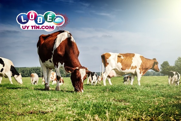 Giải mã giấc mơ thấy bò đánh con gì? Điềm báo lành hay dữ? 4 Giải mã giấc mơ thấy bò đánh con gì? Điềm báo lành hay dữ 2