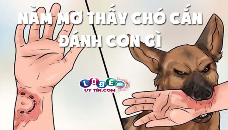 Mơ thấy chó cắn là điềm gì, đánh con gì dễ trúng nhất