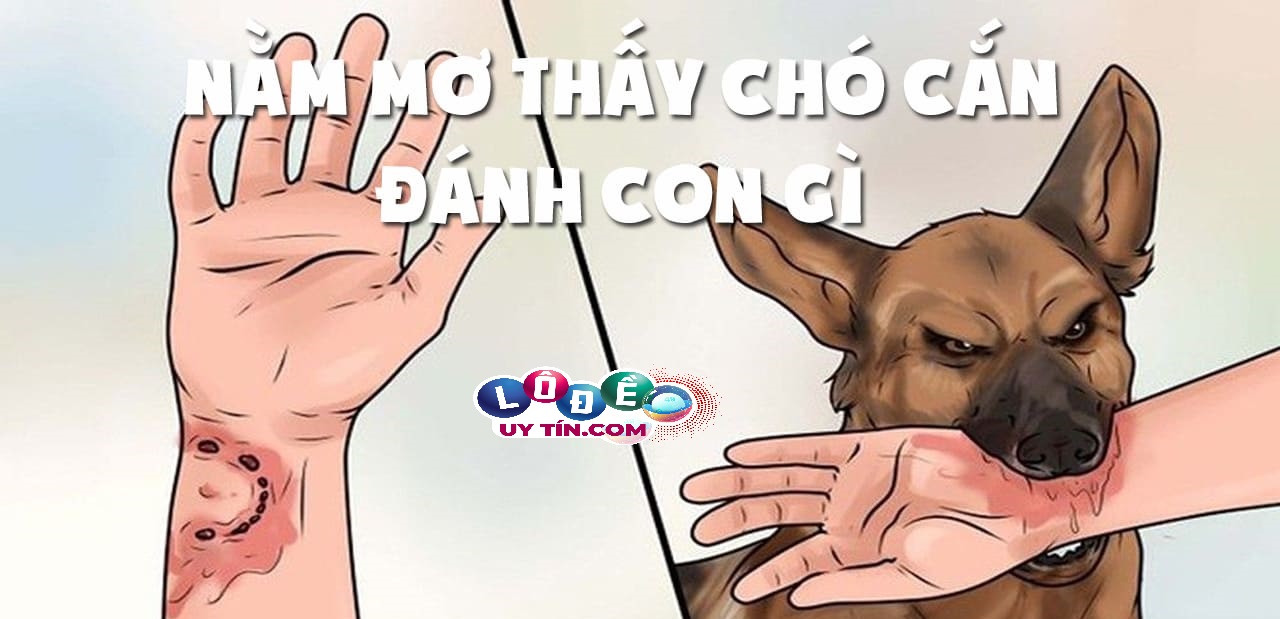 Mơ thấy chó cắn là điềm gì, đánh con gì dễ trúng nhất?