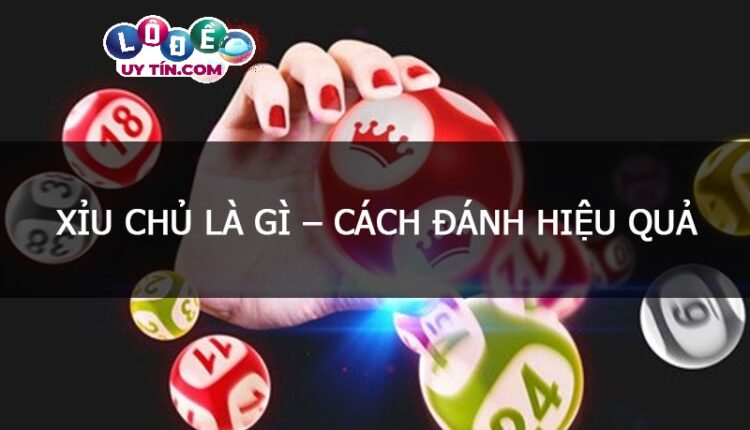 Xỉu chủ là gì? Cách đánh xỉu chủ hiệu quả từ cao thủ lô đề
