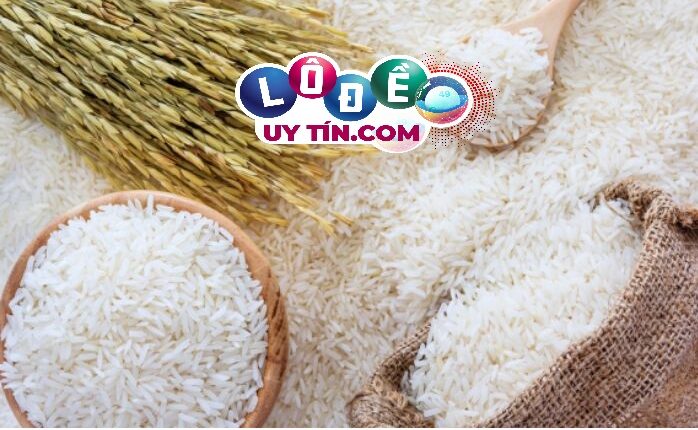 Giải mã mơ thấy gạo là điềm gì, đánh con gì phát tài? 2 Giải mã mơ thấy gạo là điềm gì, đánh con gì phát tài 1