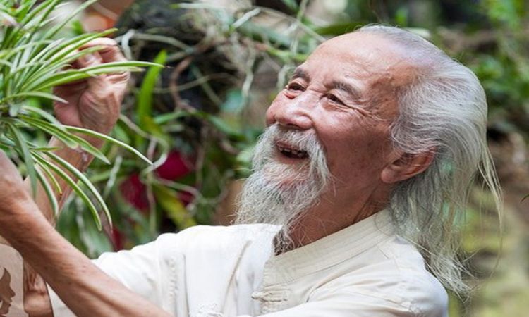 Mơ thấy ông già tóc bạc Mơ thấy ông già tóc bạc