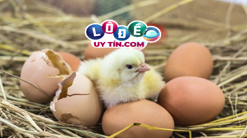 Mơ thấy trứng gà đánh con gì, điềm báo là gì?