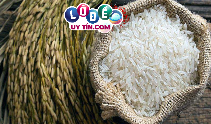 Mơ thấy lúa gạo là điềm gì, đánh số nào