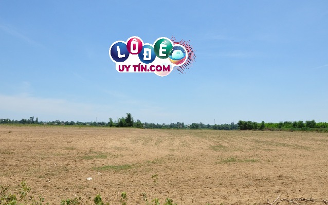 Mơ thấy cuốc đất là điềm báo gì, đánh con số gì? 3 Mơ thấy cuốc đất là điềm báo gì, đánh con số gì 2