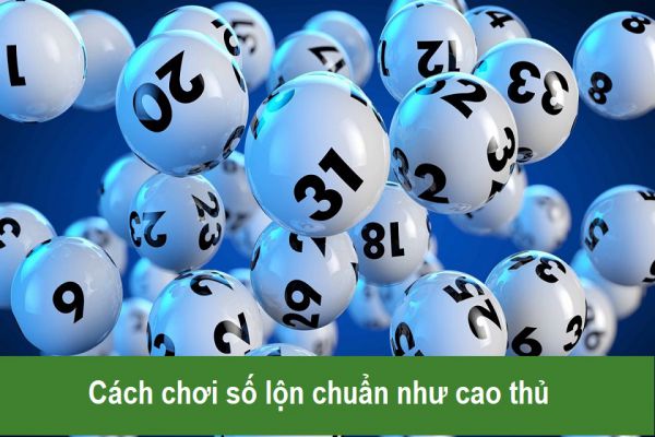 Tìm hiểu về Chơi Số Lộn trong lô đề là gì và điều cần biết 3 choi-so-lon-2