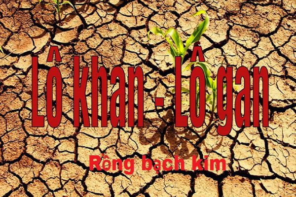 lo-khan-rong-bach-kim-2