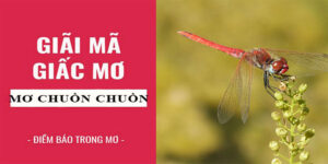 Mơ Chuồn Chuồn - Ý Nghĩa Tâm Linh Và Con Số Ứng Nghiệm