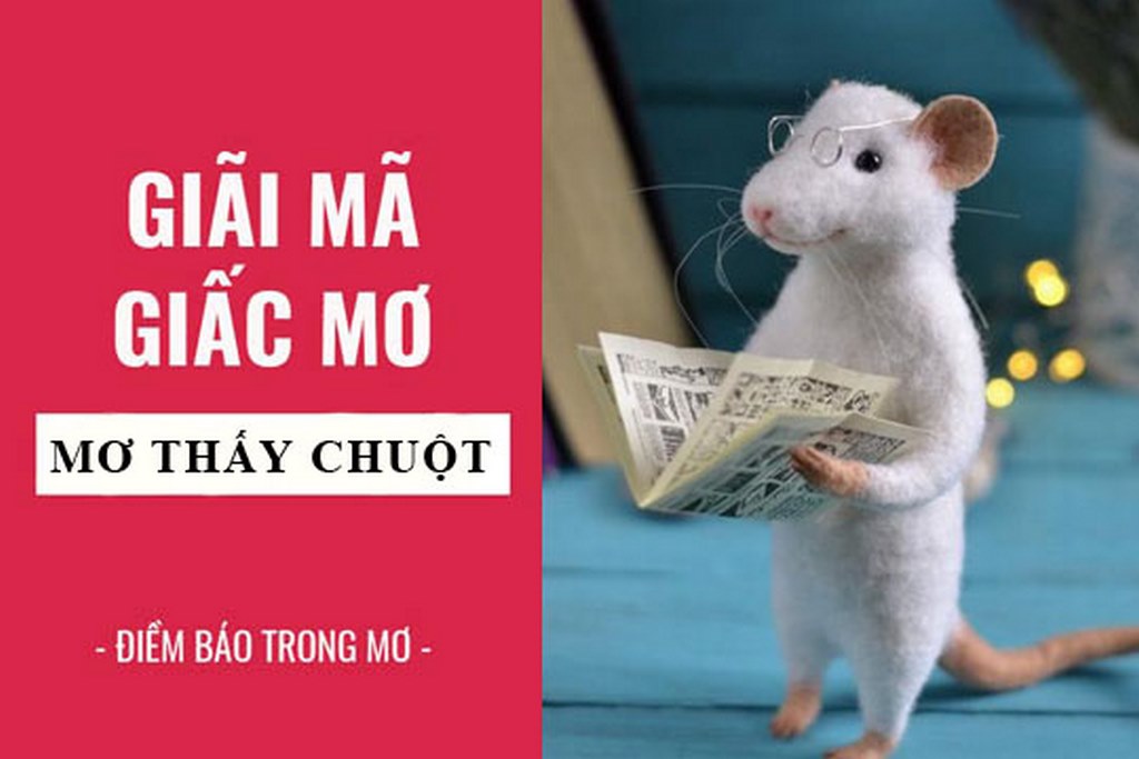 Mơ Chuột Bạch – Giải Mã Ý Nghĩa Giấc Mơ Và Những Con Số May Mắn 4 Con số may mắn khi mơ thấy chuột bạch
