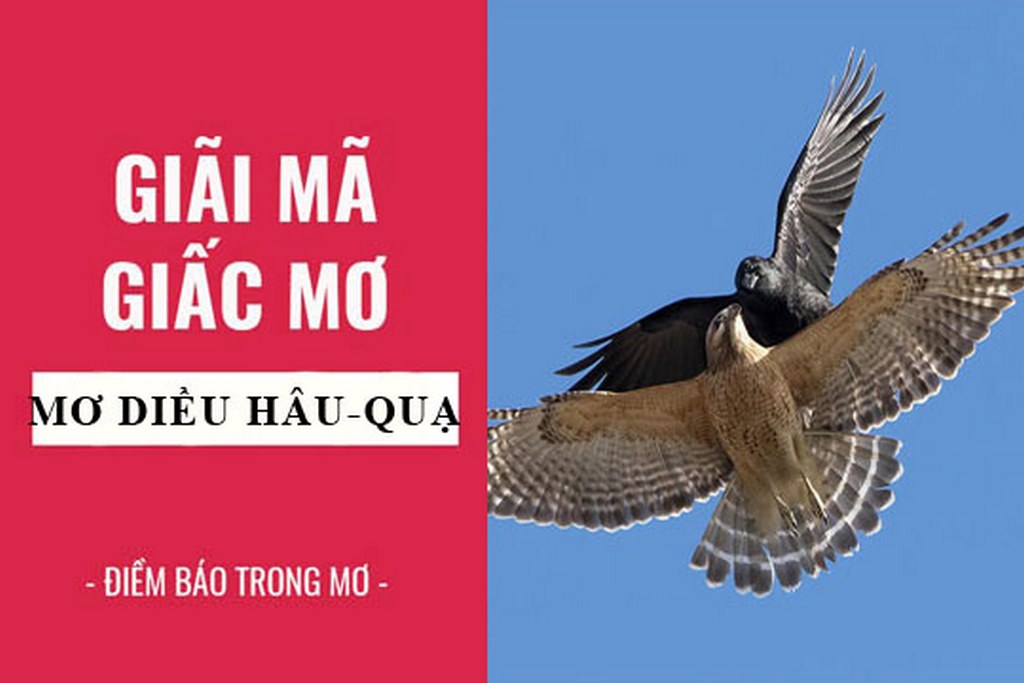 Mơ Diều Hâu – Điềm Báo Tốt Xấu Và Dự Đoán Con Số May Mắn 2 Giải mã giấc mơ diều hâu
