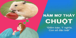 Mơ Chuột Bạch – Giải Mã Ý Nghĩa Giấc Mơ Và Những Con Số May Mắn