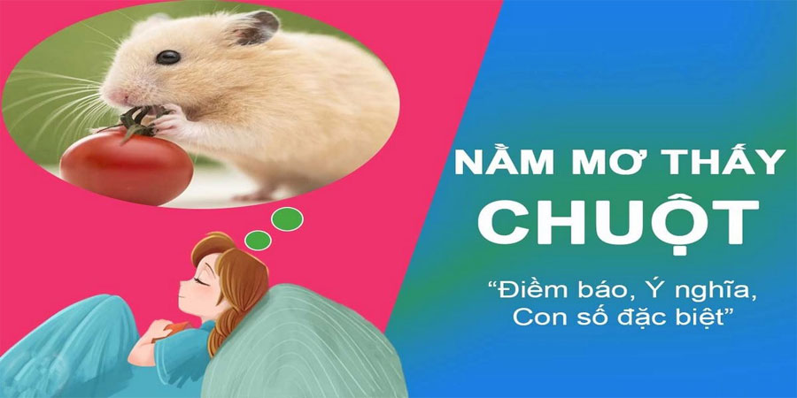 Mơ Chuột Bạch – Giải Mã Ý Nghĩa Giấc Mơ Và Những Con Số May Mắn