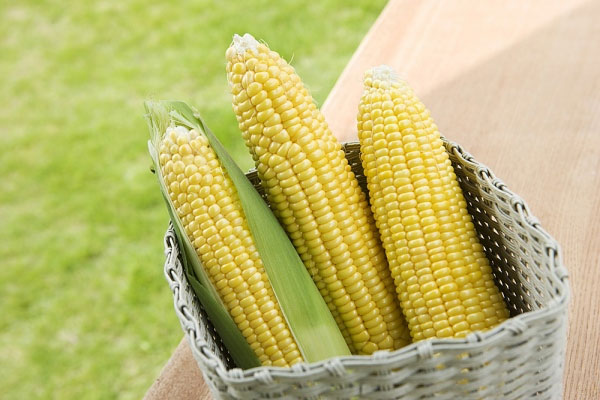 mơ thấy ngô đánh số mấy