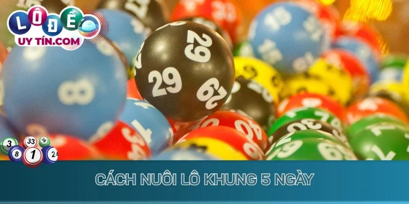 Nuôi Lô Khung 5 Ngày: Chiến Lược Bắt Lô Cực Dễ Ăn Thưởng Lớn 4 Cách nuôi lô khung 5 ngày hiệu quả nhất