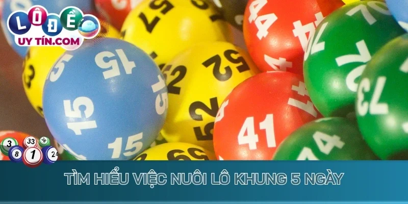 Nuôi Lô Khung 5 Ngày: Chiến Lược Bắt Lô Cực Dễ Ăn Thưởng Lớn 2 Nuôi lô khung 5 ngày - phương pháp chơi lô đề hiệu quả