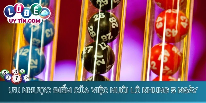 Nuôi Lô Khung 5 Ngày: Chiến Lược Bắt Lô Cực Dễ Ăn Thưởng Lớn 3 Ưu nhược điểm khi nuôi lô khung 5 ngày
